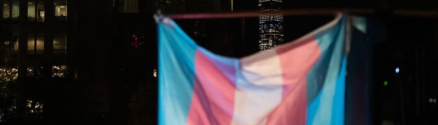 Feministas españolas denuncian ante la ONU que la Ley Trans permite a los maltratadores acosar a sus exparejas