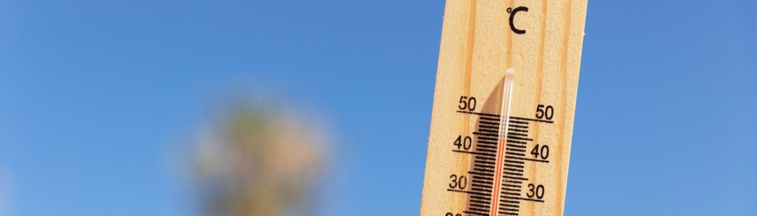 espana-registra-peor-semana-verano-600-muertes-calor