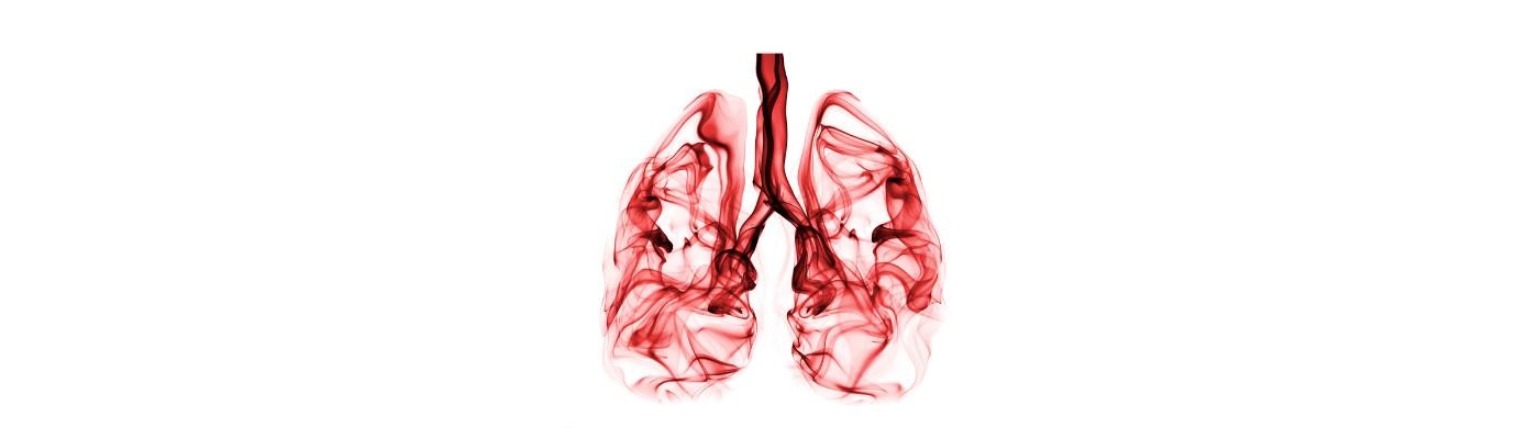 Crean el primer Atlas del pulmón, el mapa celular más completo hasta la fecha