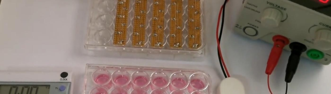 Un dispositivo a pilas permite reprogramar el ADN humano para tratar enfermedades incurables como la diabetes