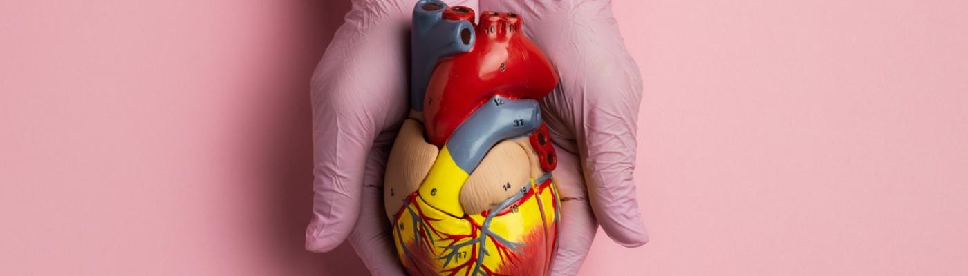 Desarrollan una prueba que podría predecir fallos en las bombas cardíacas