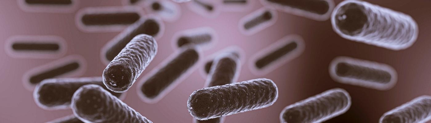 La OMS actualiza la lista de bacterias farmacorresistentes más peligrosas