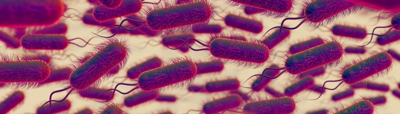 Un antibiótico consigue matar las bacterias patógenas y preservar los microbios intestinales sanos