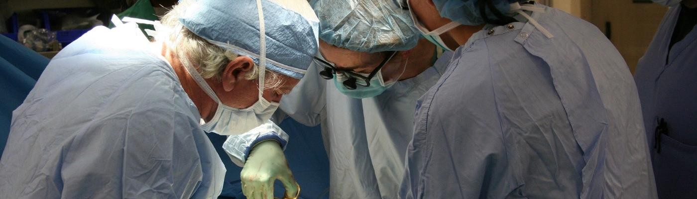 Cerca de 6.500 personas han donado un riñón o parte de su hígado en vida en España