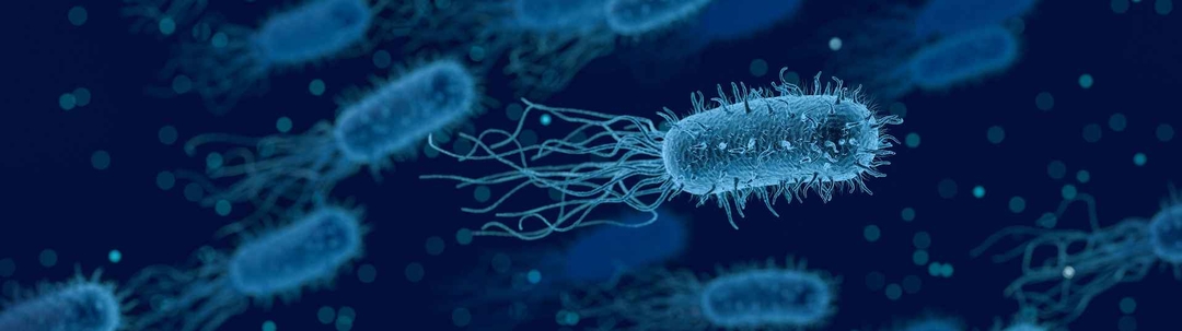 virus-contra-bacterias-la-fagoterapia-como-alternativa-a-los-antibioticos-1651831093115