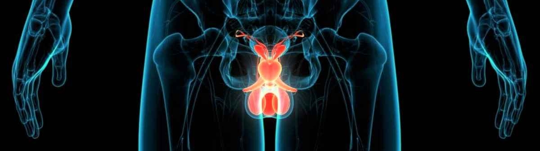 cancer-de-prostata-el-mas-frecuente-en-hombres-en-espana-1654873344055