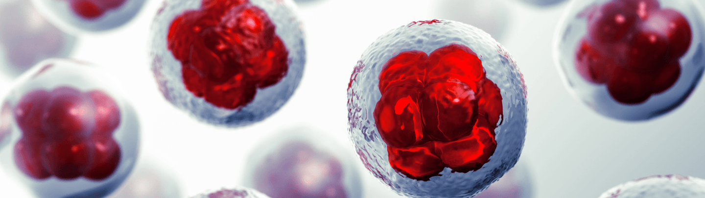 Pevienen el agotamiento de las células T, esenciales para combatir el cáncer