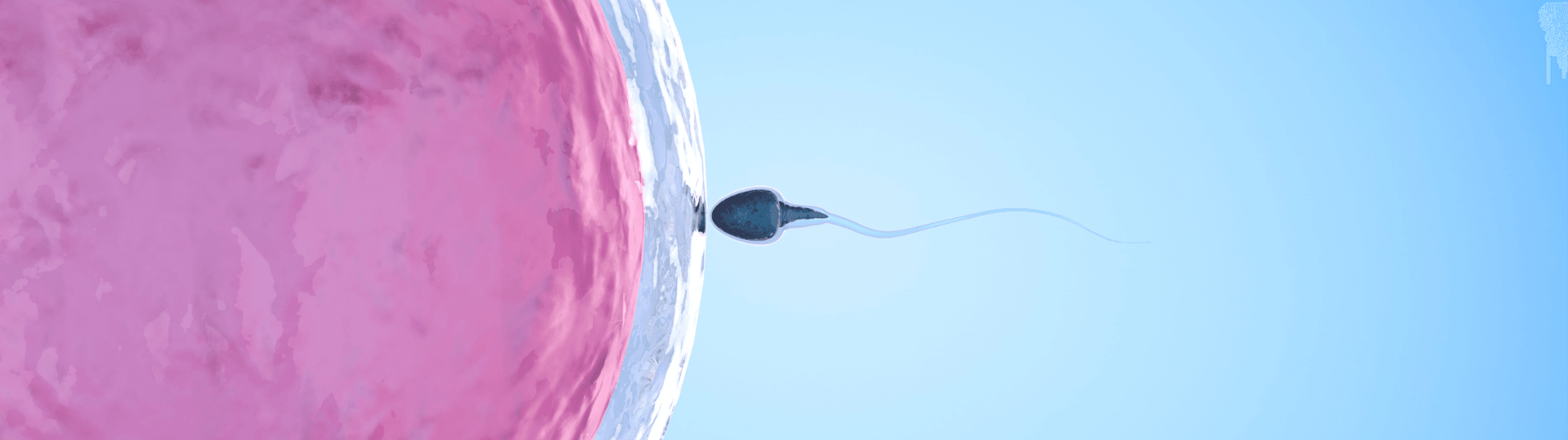 La Inteligencia Artificial detecta los embriones cromosómicamente normales con una precisión del 90%