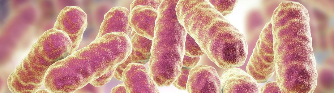 la-microbiota-intestinal-podria-ayudar-a-detectar-el-cancer-de-prostata-1657024841237