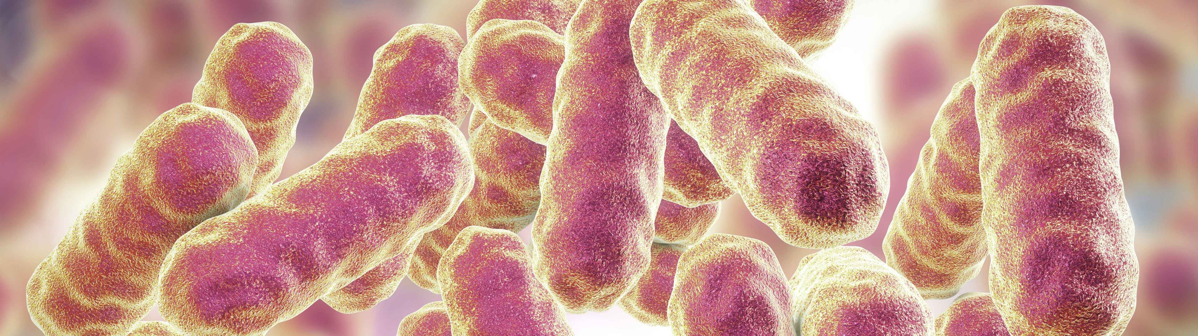 La microbiota intestinal podría ayudar a detectar el cáncer de próstata