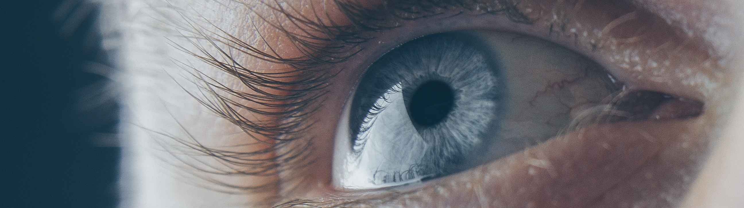 Desarrollan una córnea bioartificial capaz de devolver la vista a las personas ciegas