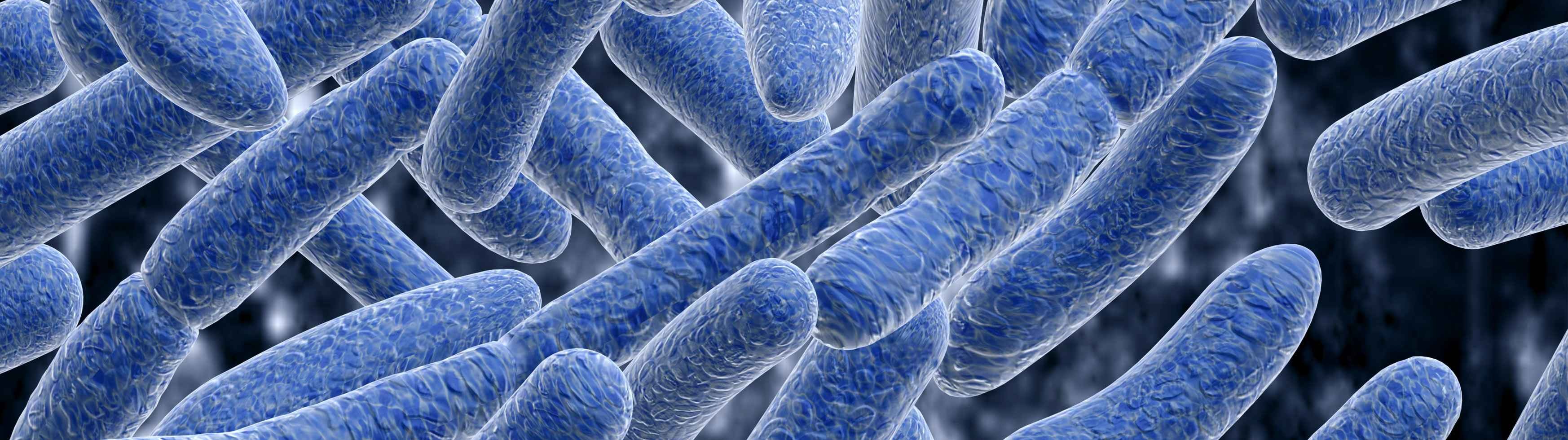 La microbiota, clave para el correcto funcionamiento de nuestro organismo