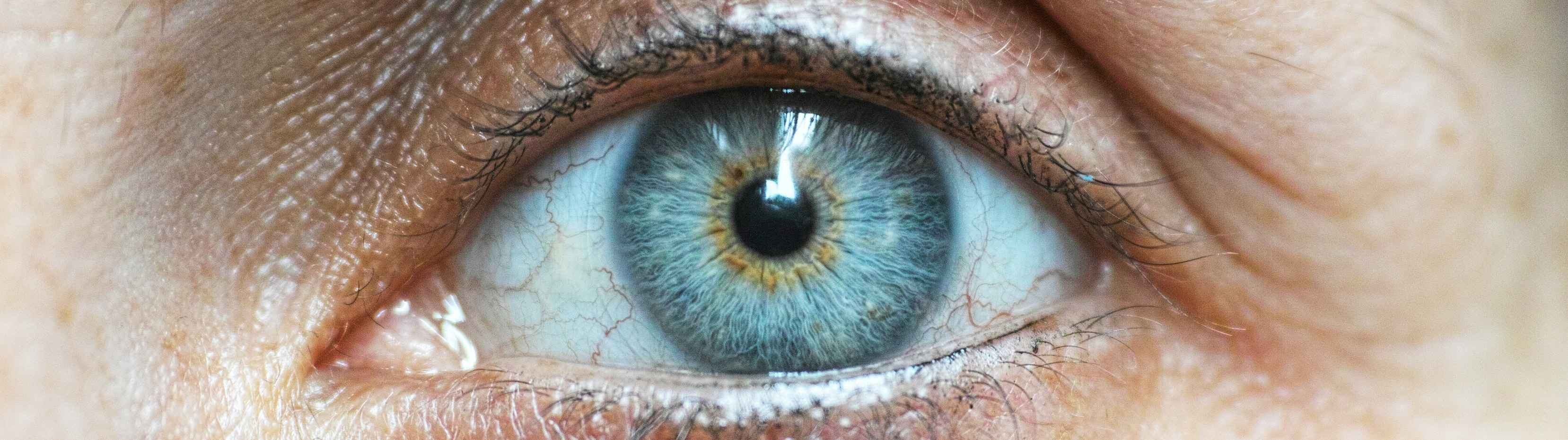 Hallan el mecanismo que altera los niveles de cloro en la retina y provoca la pérdida de visión
