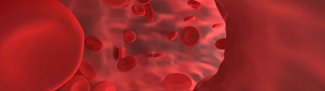 la-creacion-de-celulas-madre-sanguineas-artificiales-podria-eliminar-la-necesidad-de-donantes-1663326757418