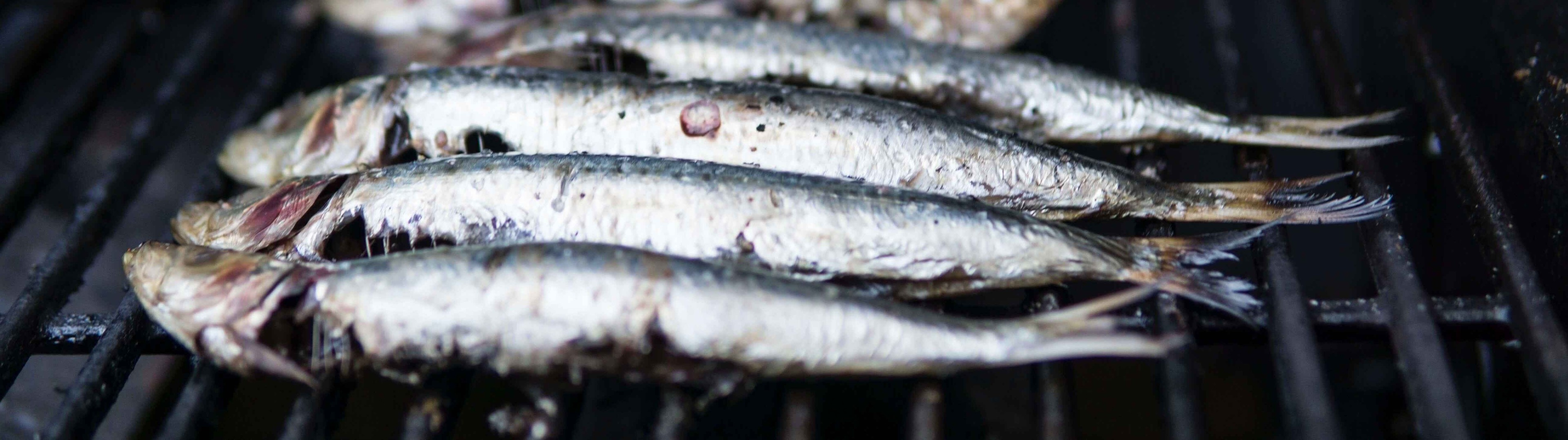 Estos son los pescados más seguros por sus bajos niveles de mercurio 