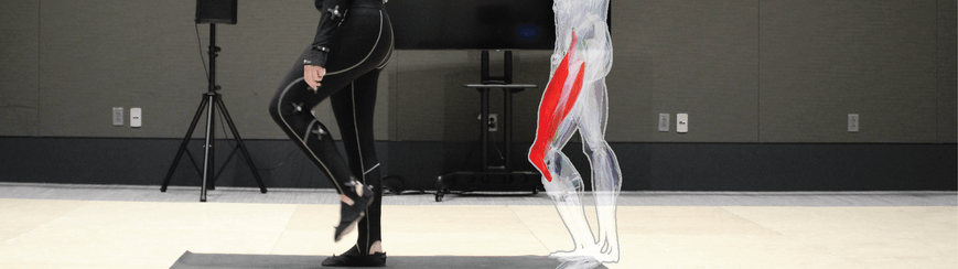 Avatares virtuales para ver la estructura interna del músculo en rehabilitación