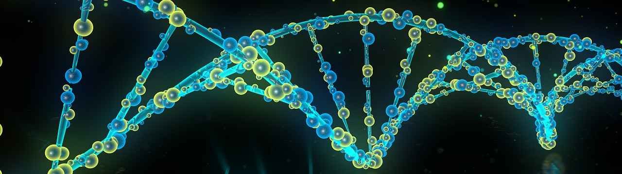 Una herramienta informática identifica los cambios genéticos que influyen en el desarrollo del cáncer 