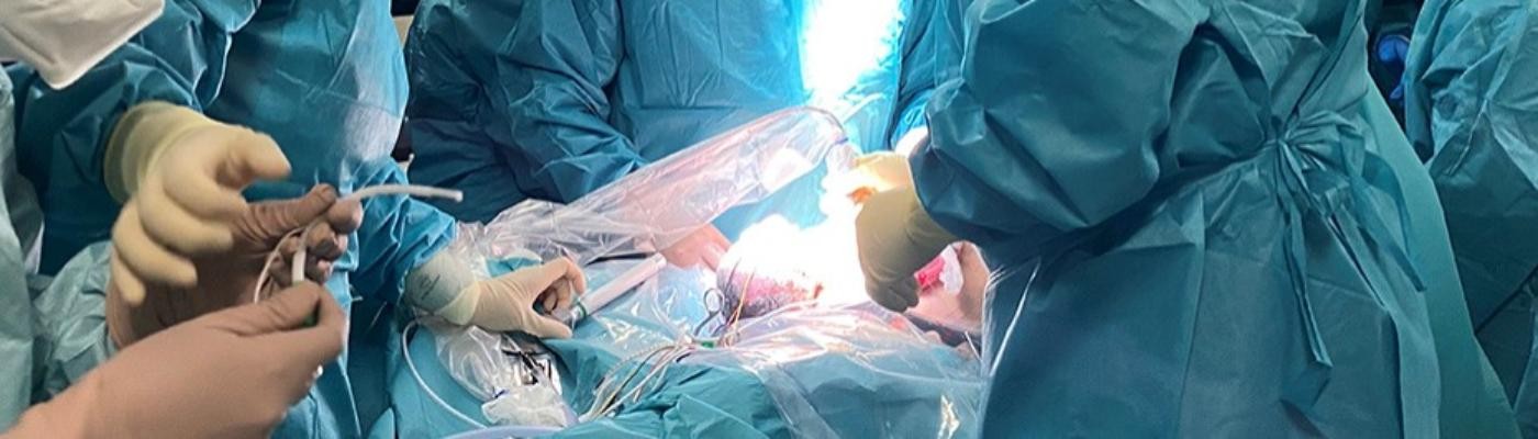 Más de 50 profesionales operan en Málaga a un feto dentro del útero de la madre