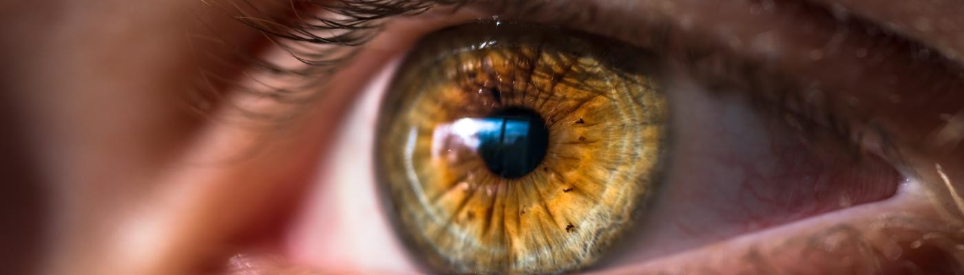 Un paso más hacia la cura de la ceguera gracias a células oculares cultivadas en laboratorio
