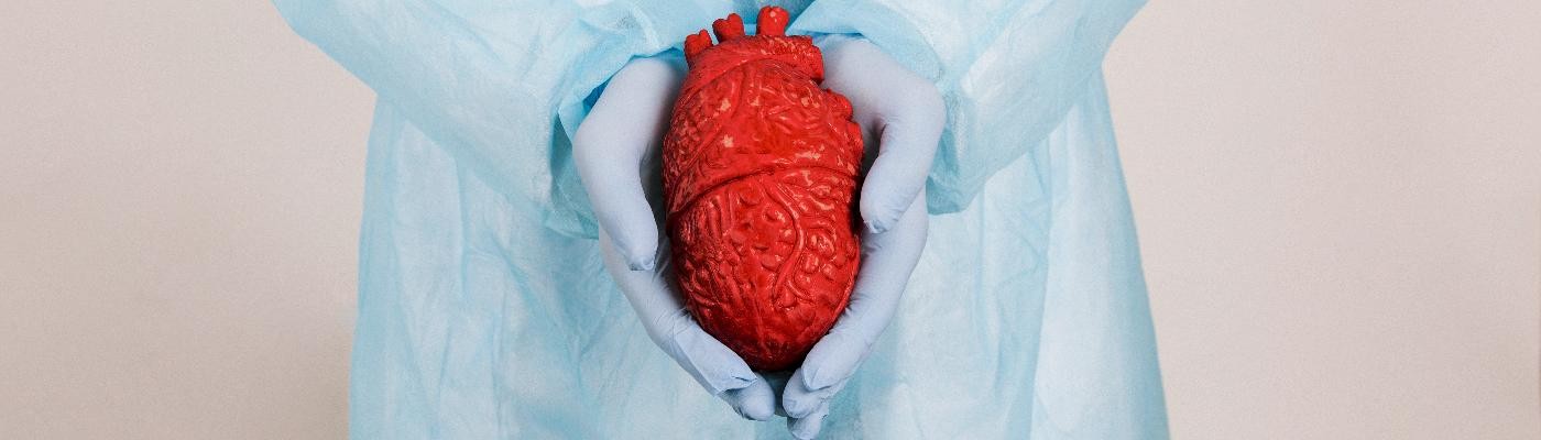 España continúa a la cabeza mundial en trasplantes de órganos