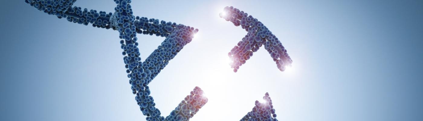 Investigadores del MIT descubren un nuevo sistema de edición genética para tratar enfermedades