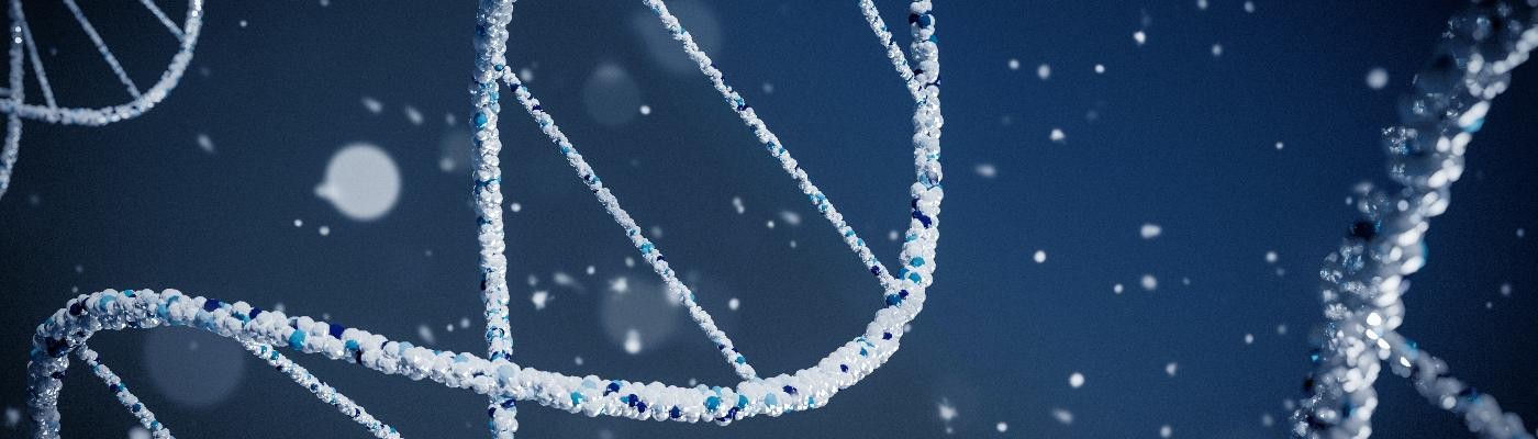 Investigadores españoles crean una herramienta bioinformática para obtener genomas de calidad