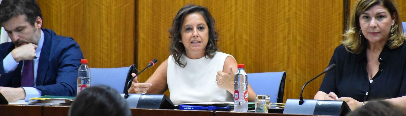 Andalucía comenzará a inmunizar a los menores de seis meses frente al VRS a principios de otoño