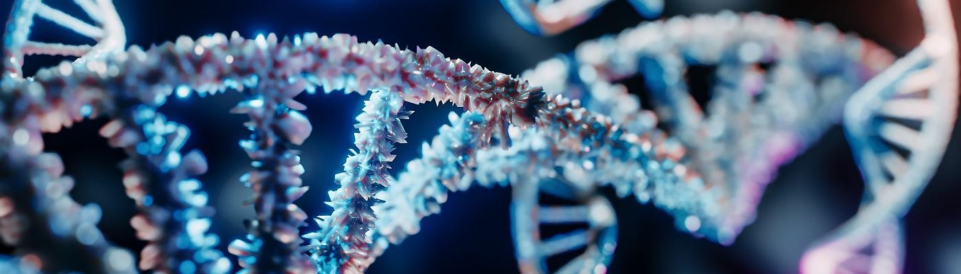 Una terapia basada en ARN consigue detener el crecimiento del cáncer