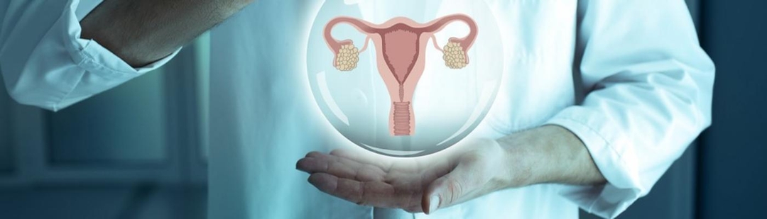 investigadores-espanoles-describen-mecanismos-celulares-de-enfermedad-provoca-desaparicion-menstruacion