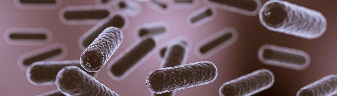 bacterias-multirresistentes-muertes-espana