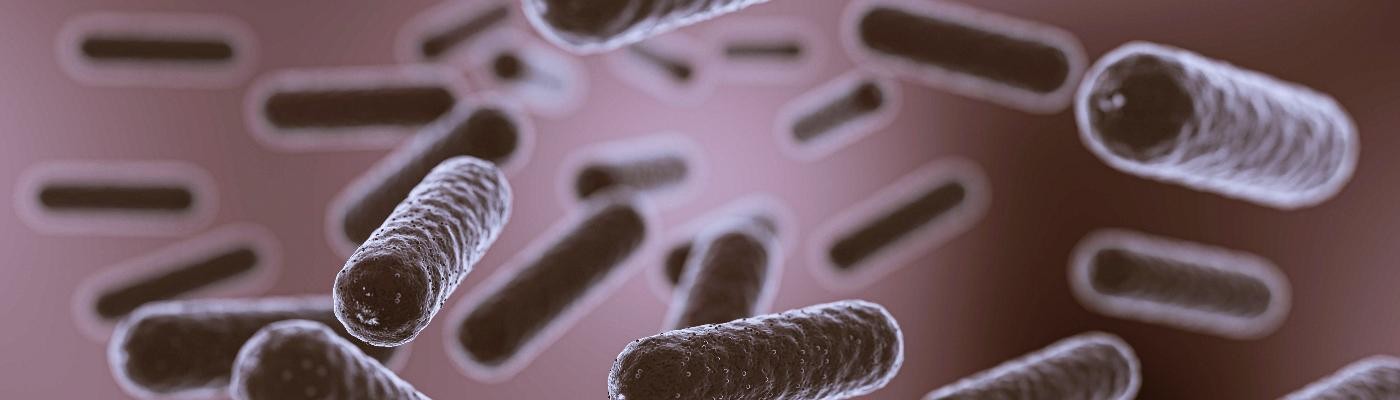 Diseñan en laboratorio bacterias de E. coli que pueden comer plástico y transformarlo en nailon