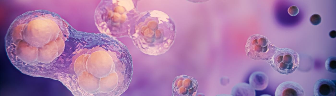 Una inyección de células madre muestra resultados prometedores en pacientes con Esclerosis Múltiple