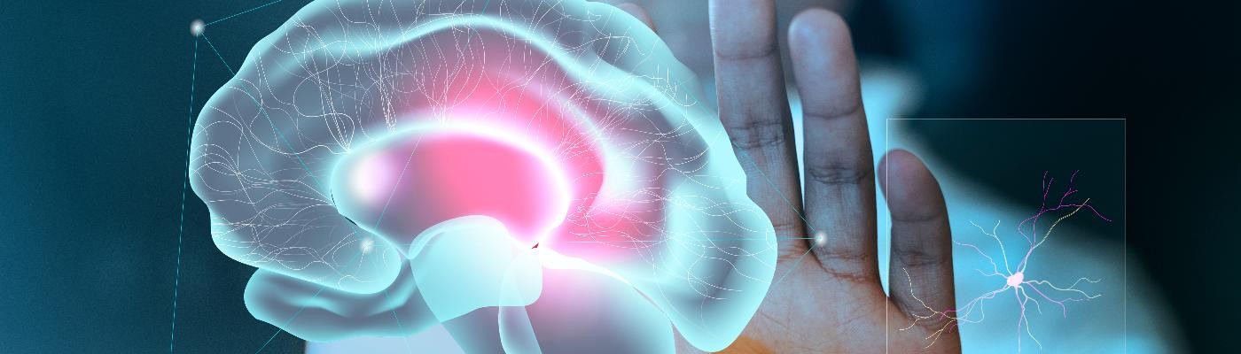 Desarrollan implantes cerebrales que recuperan capacidades cognitivas tras una lesión
