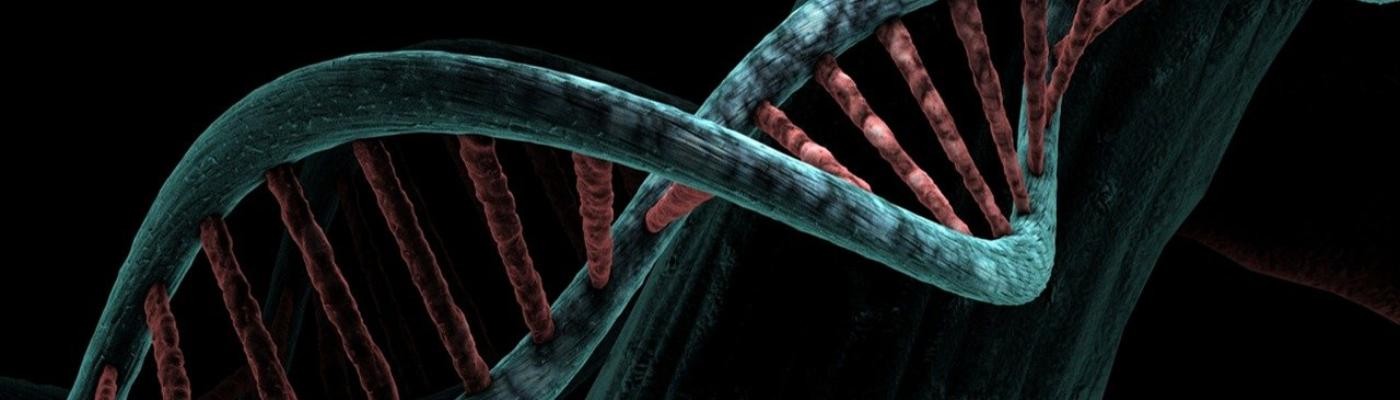 Estados Unidos aprueba el primer tratamiento de edición genética CRISPR-Cas9