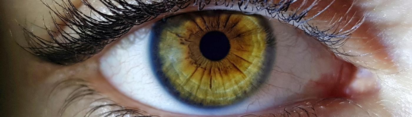 ¿Qué es lo que determina el color de nuestros ojos?