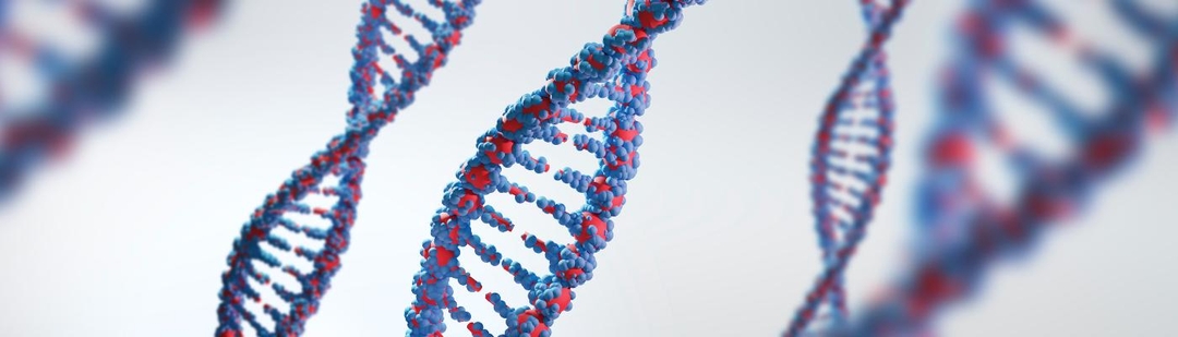 estudio-cnio-descubre-genes-predisposicion-cancer