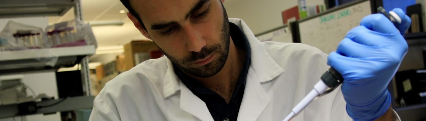 Investigadores españoles aumentan la eficacia de la quimio matando las células "zombis"