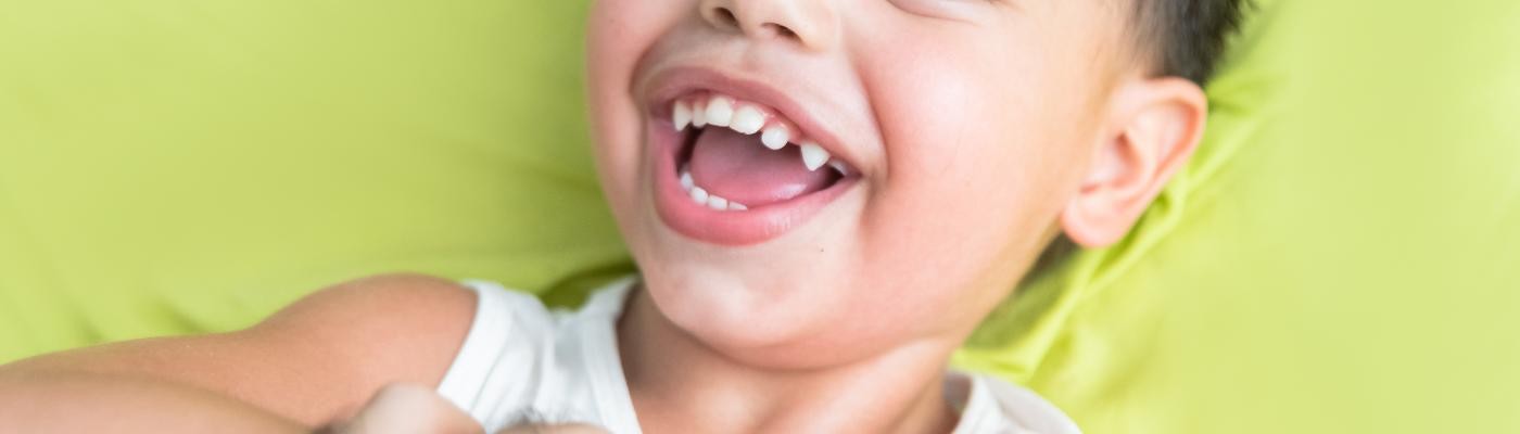 Investigadores españoles descubren que los dientes de leche son una fábrica de neuronas
