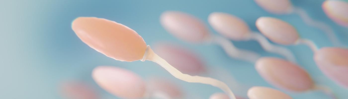 Una técnica con ultrasonidos aumenta la movilidad de los espermatozoides en un 266%