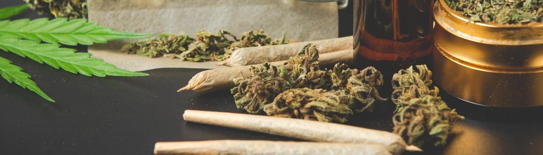 alemania-primer-paso-legalizar-cannabis-consumo-personal